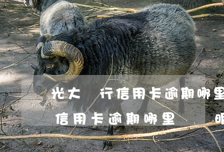 光大銀行信用卡逾期哪里開證明-光大銀行信用卡逾期哪里開證明呢