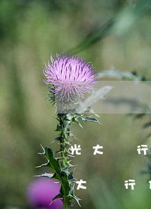 光大銀行信用卡逾期嚴(yán)重嗎(被光大銀行信用卡逾期終極警告怎么辦?)