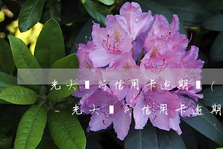 光大銀行信用卡逾期嚴(yán)重怎么辦-光大銀行信用卡逾期嚴(yán)重怎么辦啊
