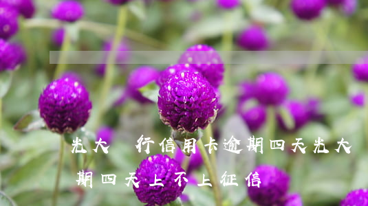 光大銀行信用卡逾期四天(光大銀行信用卡逾期四天上不上征信)