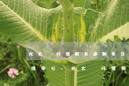 光大銀行信用卡逾期多久上報(bào)征信中心-光大銀行信用卡逾期多久上報(bào)征信中心