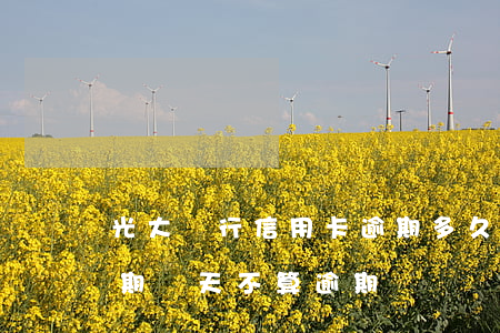 光大銀行信用卡逾期多久(光大銀行信用卡逾期幾天不算逾期)