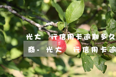 光大銀行信用卡逾期多久可以協(xié)商-光大銀行信用卡逾期多久可以協(xié)商還款