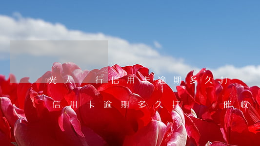 光大銀行信用卡逾期多久打電話-光大銀行信用卡逾期多久打電話催收