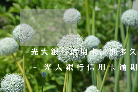 光大銀行信用卡逾期多久會(huì)催收-光大銀行信用卡逾期多久會(huì)催收電話