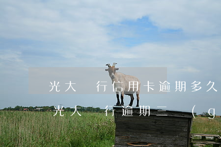 光大銀行信用卡逾期多久會(huì)催收(光大銀行逾期三個(gè)月了也沒(méi)催收,是怎么回事)