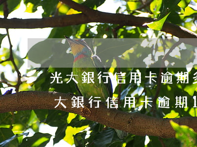 光大銀行信用卡逾期多久會被起訴怎么辦（光大銀行信用卡逾期18000）