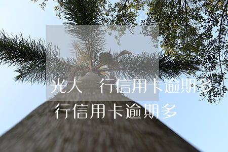 光大銀行信用卡逾期多長時間起訴-光大銀行信用卡逾期多長時間起訴有效