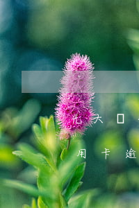 光大銀行信用卡逾期大額減免-光大銀行信用卡逾期一天有沒有影響?