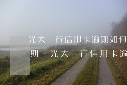 光大銀行信用卡逾期如何協(xié)商分期-光大銀行信用卡逾期如何協(xié)商分期還款