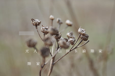 光大銀行信用卡逾期家訪(光大銀行信用卡逾期家訪)