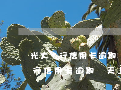 光大銀行信用卡逾期幾天上征信了-光大銀行信用卡逾期幾天上征信了嗎