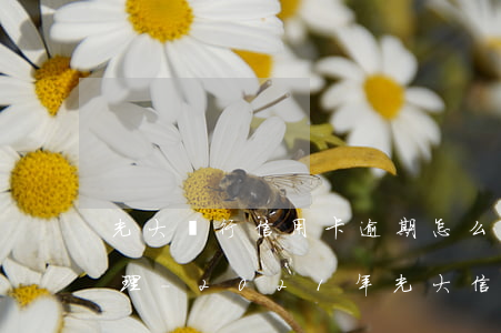 光大銀行信用卡逾期怎么協(xié)商處理-2021年光大信用卡逾期新政策