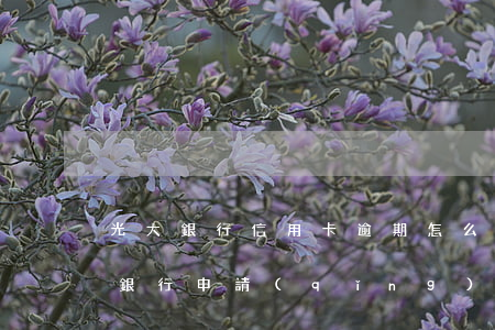 光大銀行信用卡逾期怎么投訴-有逾期光大銀行申請(qǐng)信用卡能通過嗎