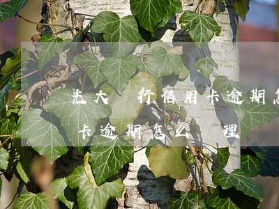 光大銀行信用卡逾期怎么處理(光大銀行信用卡逾期怎么處理)