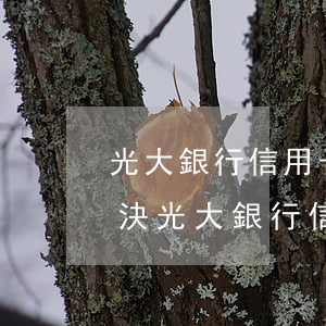 光大銀行信用卡逾期找誰協(xié)商解決（光大銀行信用卡逾期找誰協(xié)商）