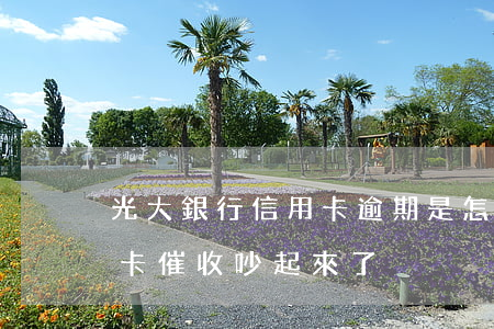 光大銀行信用卡逾期是怎樣催收(和光大信用卡催收吵起來了)