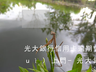 光大銀行信用卡逾期會(huì)不會(huì)上門-光大銀行信用卡逾期會(huì)不會(huì)上門催收