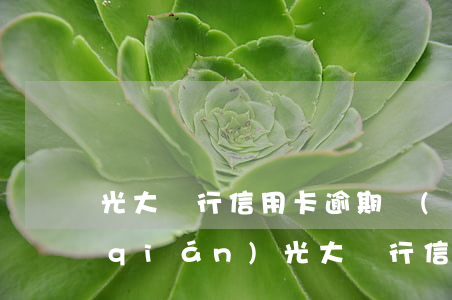 光大銀行信用卡逾期會(huì)多多錢(qián)（光大銀行信用卡逾期會(huì)多多錢(qián)）