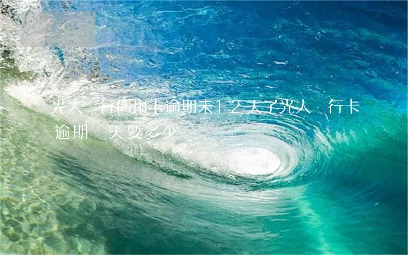 光大銀行信用卡逾期未12天了(光大銀行卡逾期兩天要多少錢)