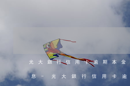 光大銀行信用卡逾期本金沒(méi)還利息-光大銀行信用卡逾期本金沒(méi)還利息怎么算