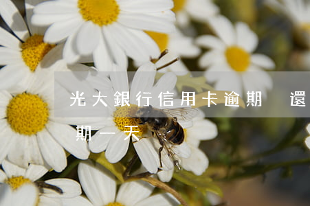 光大銀行信用卡逾期沒還刑拘(光大信用卡 逾期一天)