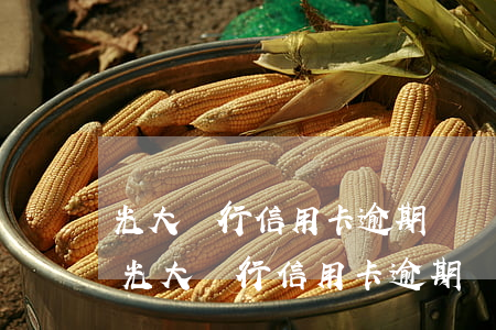 光大銀行信用卡逾期滯納金和利息是多少-光大銀行信用卡逾期滯納金和利息是多少錢
