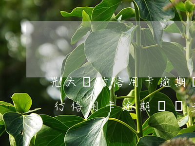 光大銀行信用卡逾期異議多久處理-光大銀行信用卡逾期異議多久處理成功