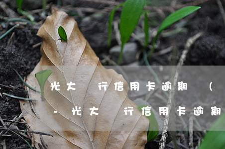 光大銀行信用卡逾期發(fā)短信說起訴-光大銀行信用卡逾期發(fā)短信說起訴是真的嗎