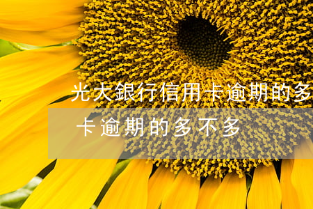 光大銀行信用卡逾期的多不多(光大銀行信用卡逾期的多不多)
