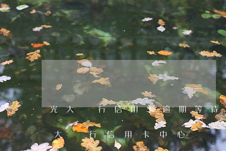 光大銀行信用卡逾期等待起訴(到法院起訴光大銀行信用卡中心)