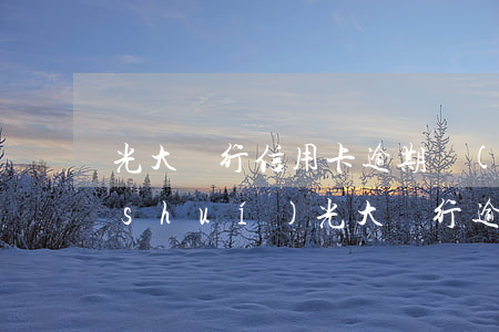 光大銀行信用卡逾期聯(lián)系誰(shuí)(光大銀行逾期多長(zhǎng)時(shí)間會(huì)打聯(lián)系人電話(huà))