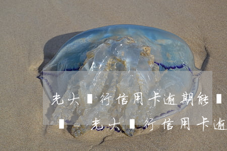 光大銀行信用卡逾期能協(xié)商成功嗎-光大銀行信用卡逾期能協(xié)商成功嗎知乎