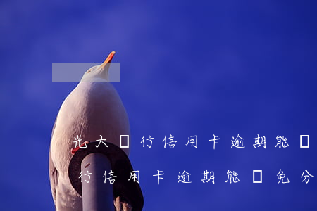 光大銀行信用卡逾期能減免分期嗎-光大銀行信用卡逾期能減免分期嗎
