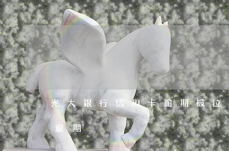 光大銀行信用卡逾期被拉黑(光大信用卡7萬逾期)