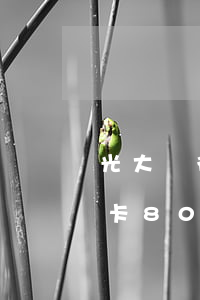 光大銀行信用卡逾期被銷卡(逾期欠光大信用卡80000)