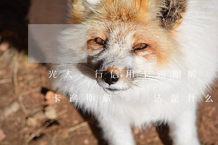 光大銀行信用卡逾期解決辦法(光大銀行信用卡逾期解決辦法是什么)