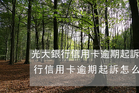 光大銀行信用卡逾期起訴怎么處理-光大銀行信用卡逾期起訴怎么處理的