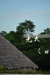 光大銀行信用卡逾期起訴案例(光大信用卡7萬(wàn)逾期)