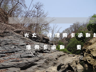 光大銀行信用卡逾期起訴率高嗎(8000的信用卡逾期嚴重嗎)