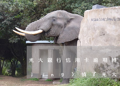 光大銀行信用卡逾期轉(zhuǎn)經(jīng)偵了(光大銀行能逾期多久)