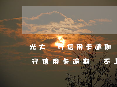光大銀行信用卡逾期還不上怎么辦-光大銀行信用卡逾期還不上怎么辦呢