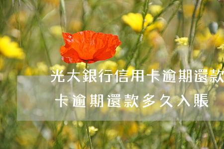 光大銀行信用卡逾期還款多久(光大銀行信用卡逾期還款多久入賬)