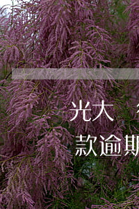 光大銀行信用卡逾期還款有影響(光大銀行貸款逾期,會影響光大信用卡嗎)