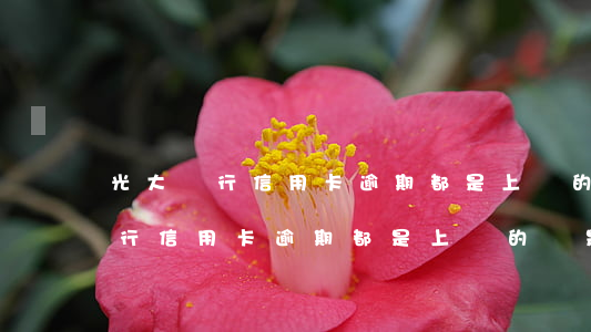 光大銀行信用卡逾期都是上門的嗎-光大銀行信用卡逾期都是上門的嗎是真的嗎
