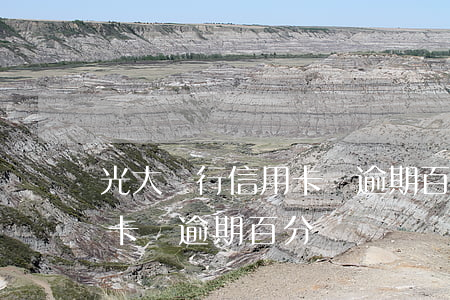 光大銀行信用卡還逾期百分幾（光大銀行信用卡還逾期百分幾）