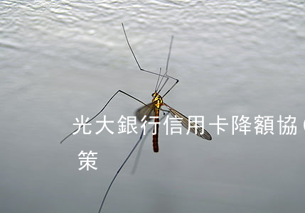 光大銀行信用卡降額協(xié)商還款政策