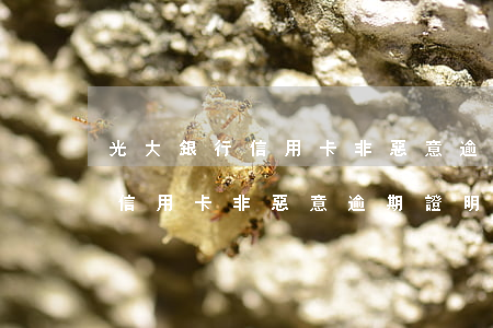 光大銀行信用卡非惡意逾期證明-光大銀行信用卡非惡意逾期證明