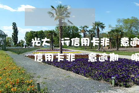 光大銀行信用卡非惡意逾期證明-光大銀行信用卡非惡意逾期證明要多久