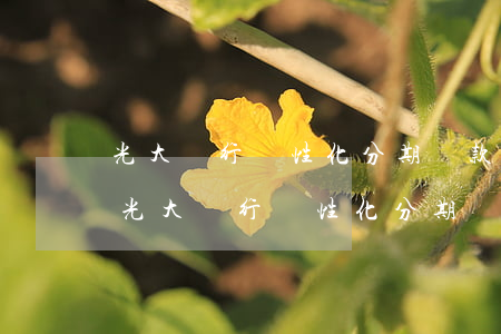 光大銀行個性化分期還款協商的最新政策-光大銀行個性化分期還款協商的最新政策是什么